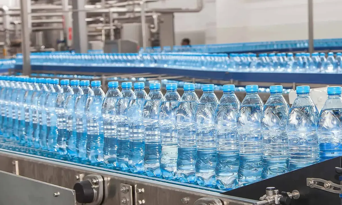 bandas de transporte de botellas para la industria