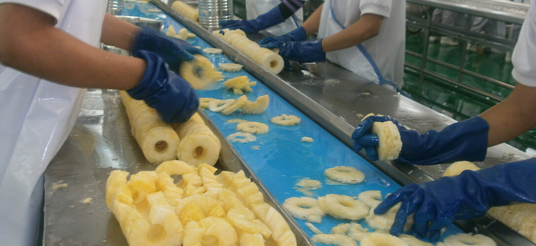 Caso de Éxito: Cómo mejorar la higiene y durabilidad de las bandas en el procesamiento de frutas cítricas